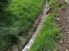 IMG_20210804_153936