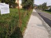 IMG_20220908_093409